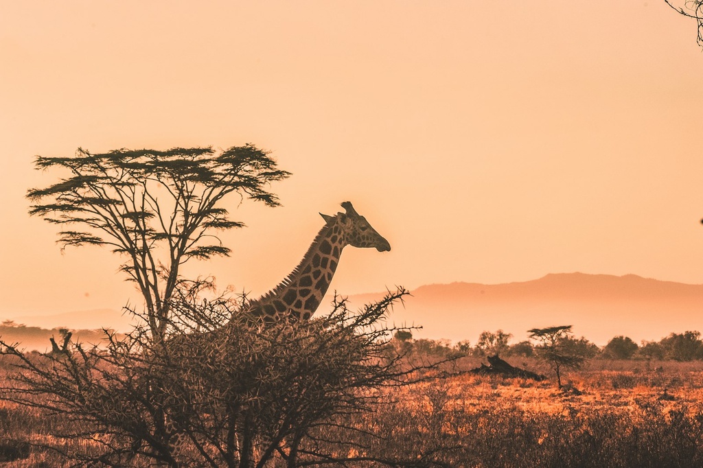 UAE Luxury — Adventure