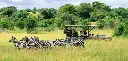 images (13).webp