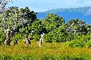 tanzania-01.webp