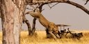 Akagera Big Five Safari Adventure