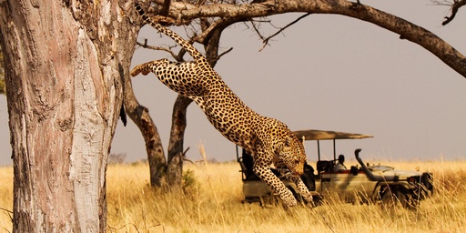 Akagera Big Five Safari Adventure