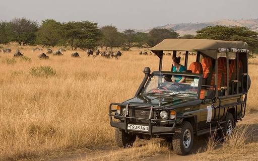 East Africa Explorer - Rwanda, Tanzania & Kenya