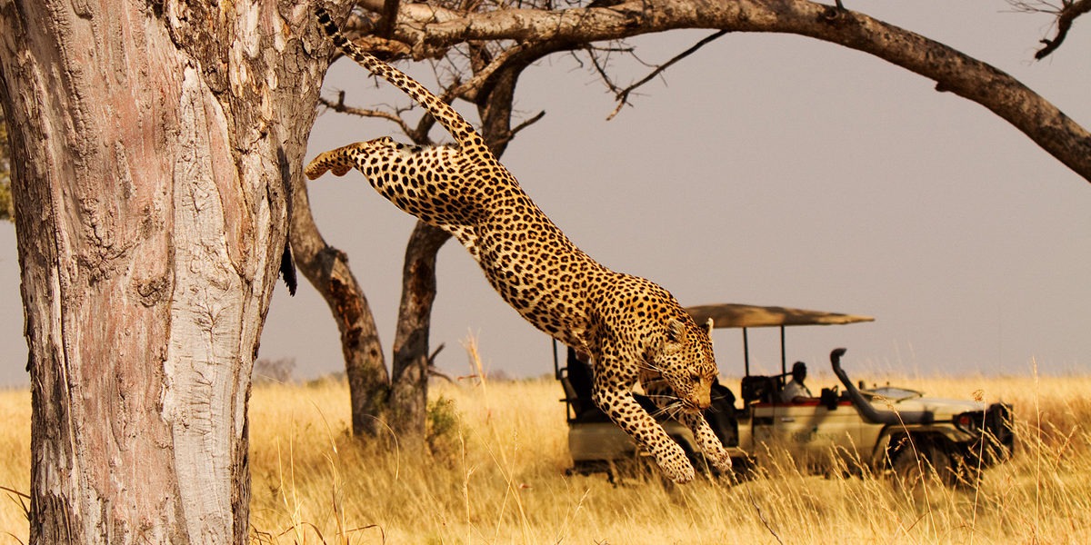 Akagera Big Five Safari Adventure